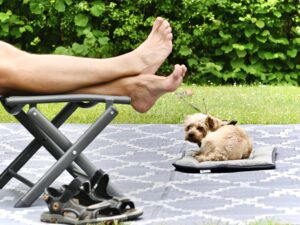 Hund am Campingplatz